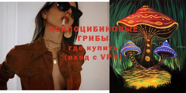 амфетамин Белокуриха