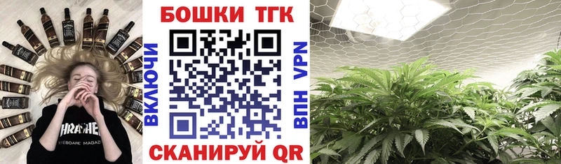 Купить закладки  Озёры  Бошки марихуана индика 